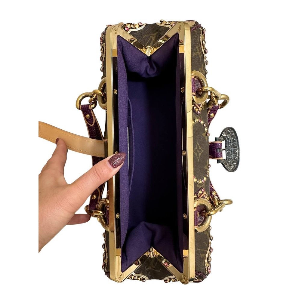 Louis Vuitton Rare Louis Vuitton Les | Libas Collective