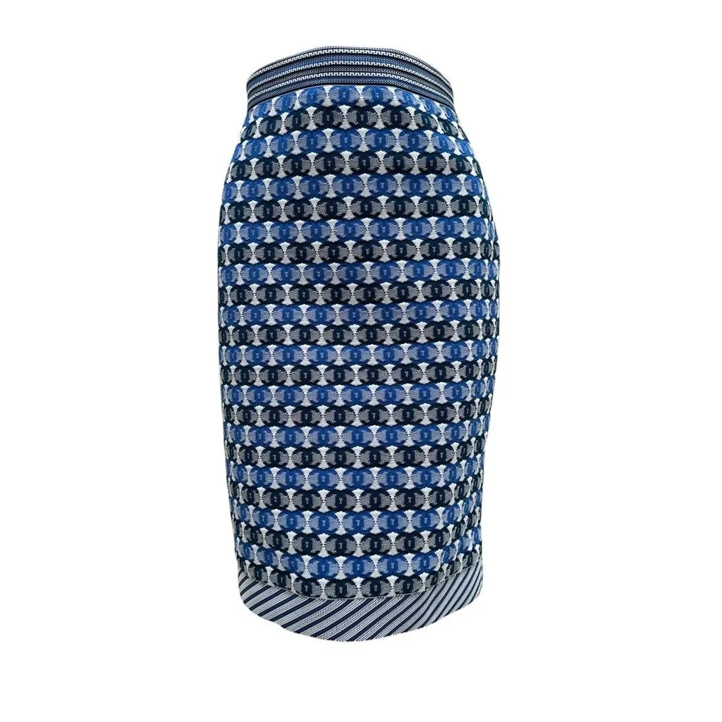 Chanel 2019 Pre-Spring Blue & White CC Logo Knee Skirt Sz 40 pre-owned White Good - Front View