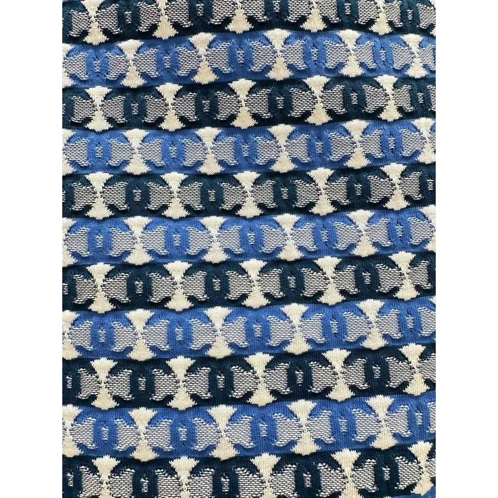 Chanel 2019 Pre-Spring Blue & White CC Logo Knee Skirt Sz 40 pre-owned White Good - Model View