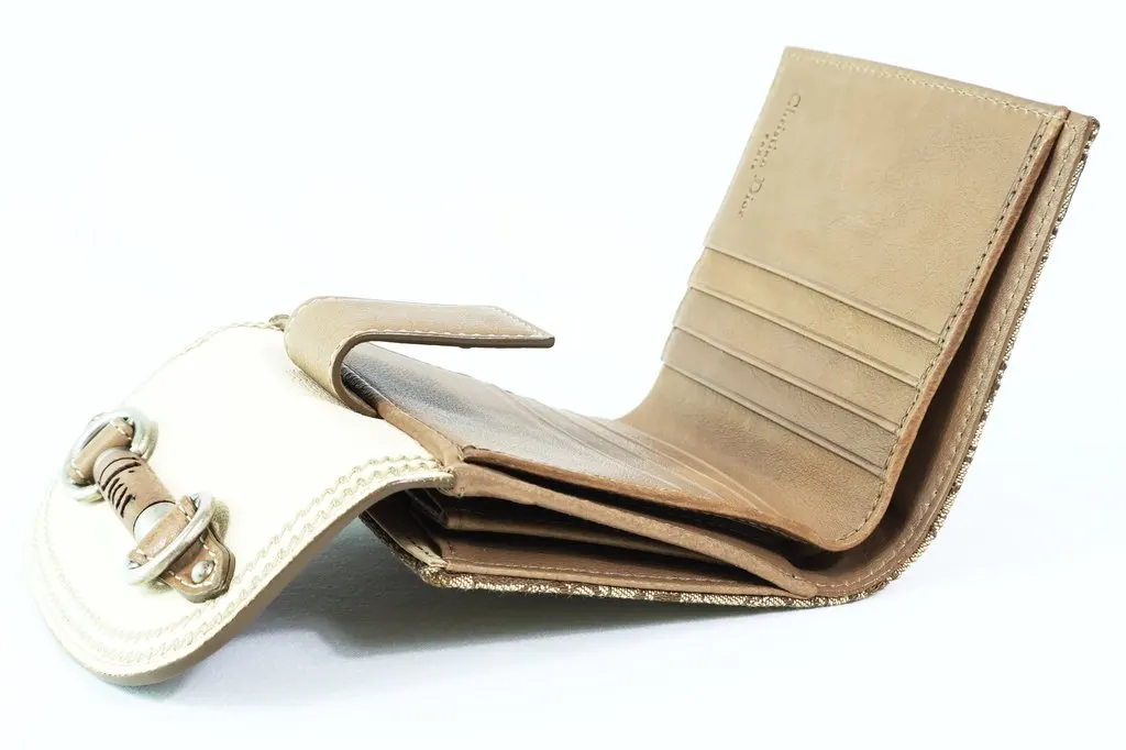 Dior Christian Dior Bifold Trotter Beige Wallet Beige Leather Good - Model View