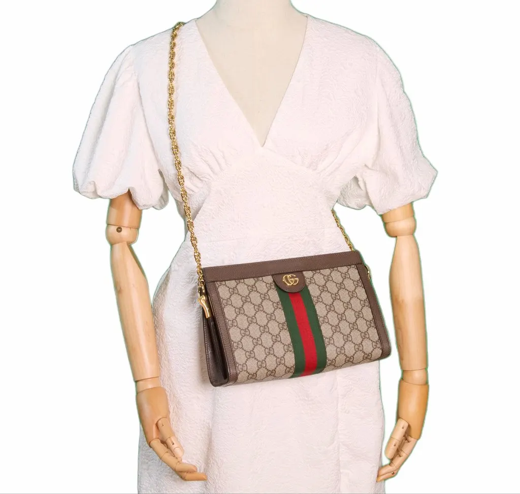 Gucci Ophidia Small Shoulder bag Brown Canvas Good - Back View