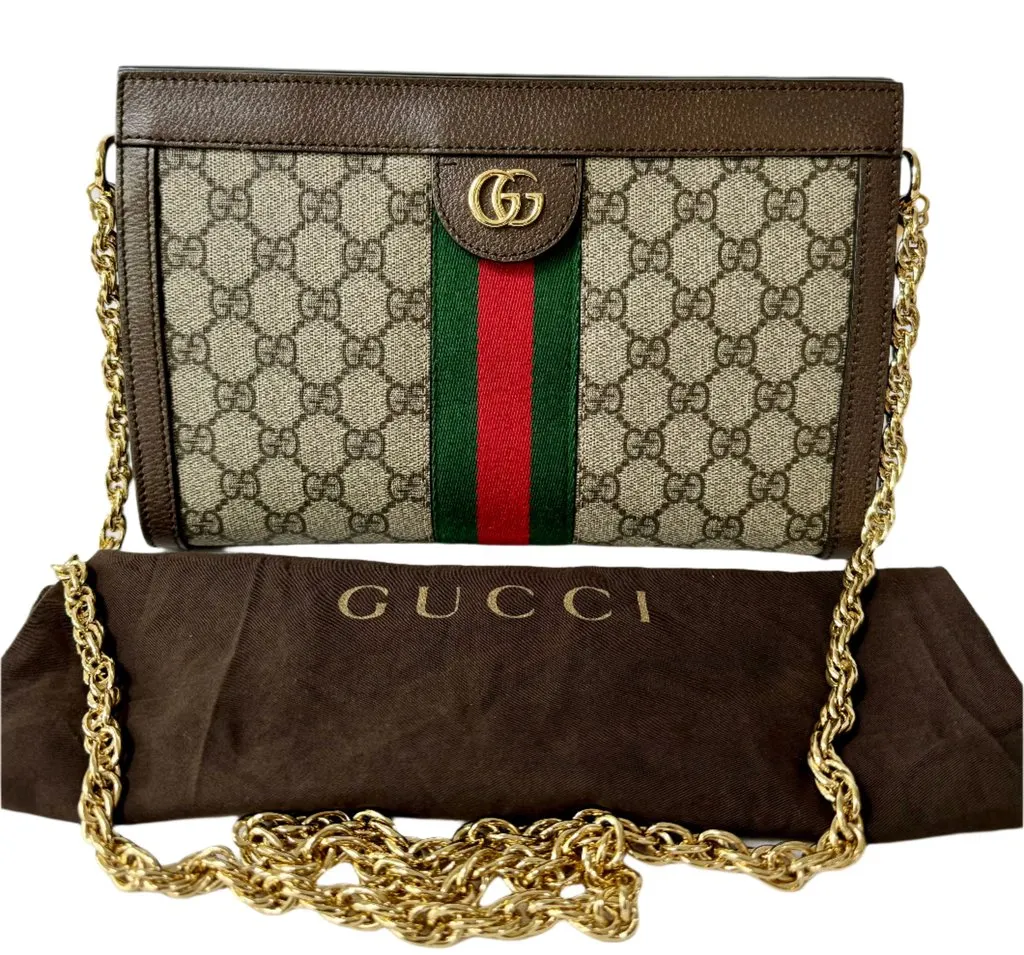 Gucci Ophidia Small Shoulder bag Brown Canvas Good - Model View