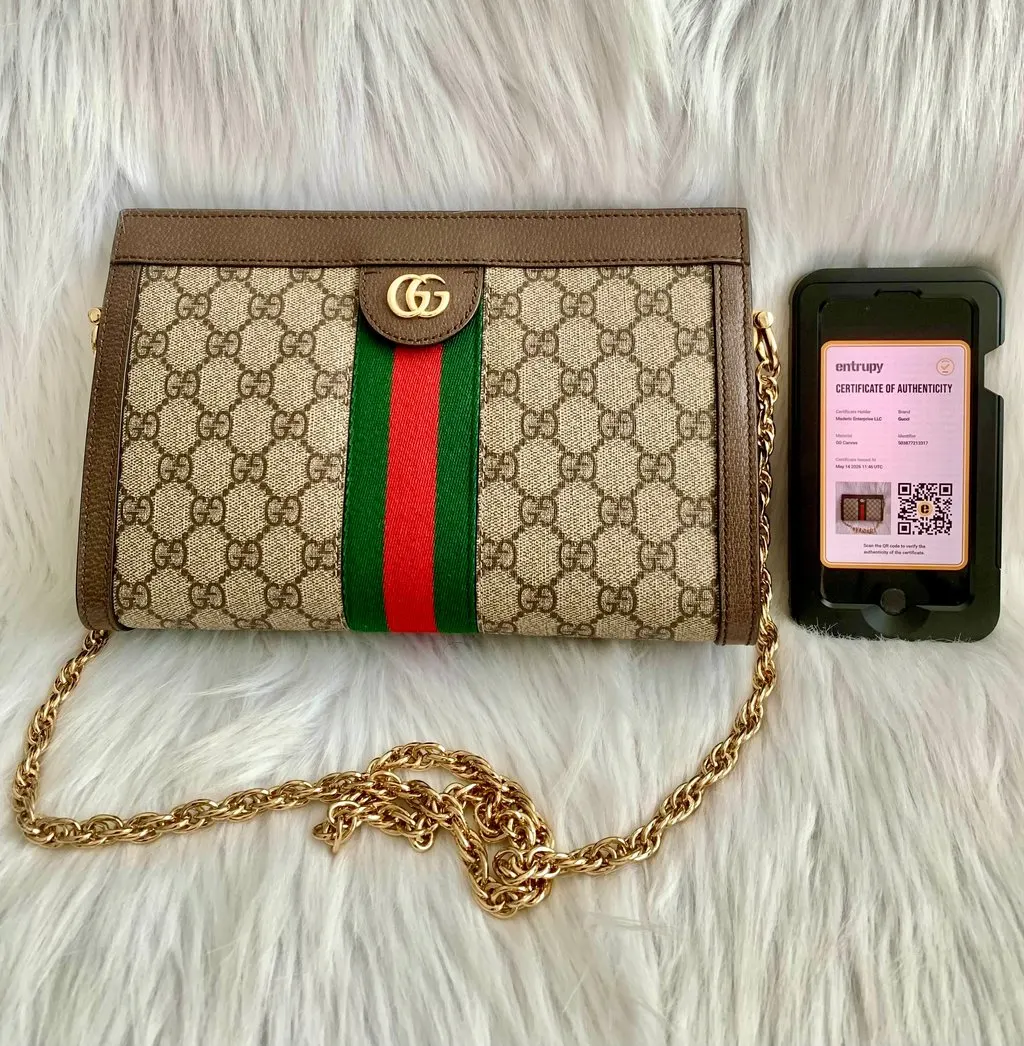 Gucci Ophidia Small Shoulder bag Brown Canvas Good - Box View