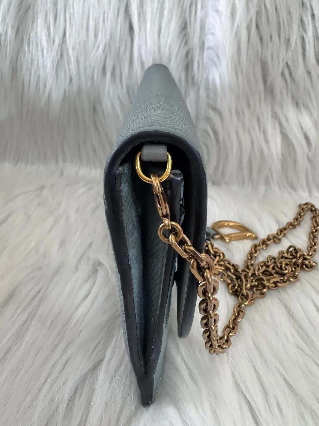 Christian Dior Saddle Sage Green Wallet on Chain Green Leather Very good - Model View