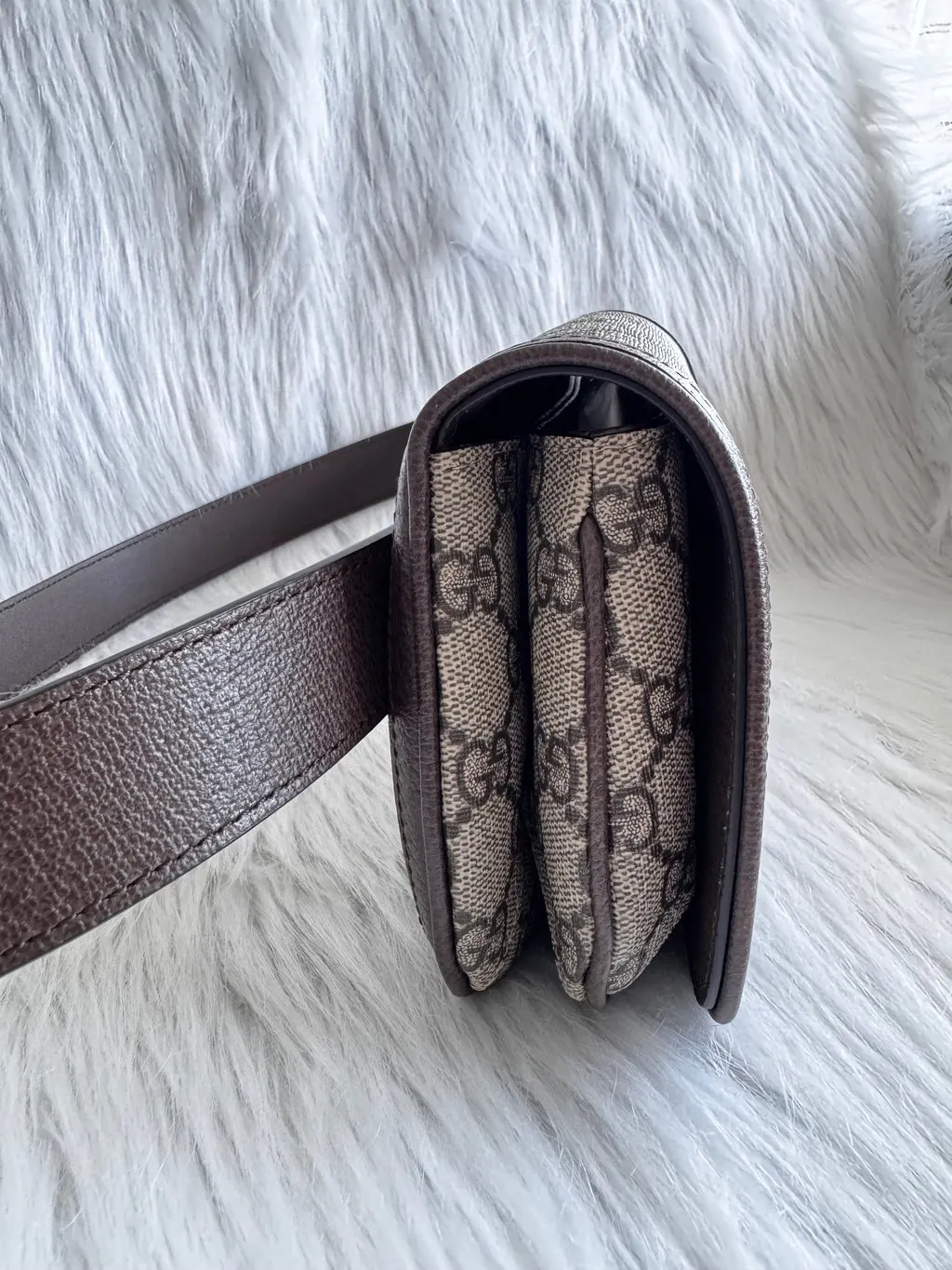 Gucci GG Supreme Blondie Belt Bag (brand new) Brown Leather Good - Back View