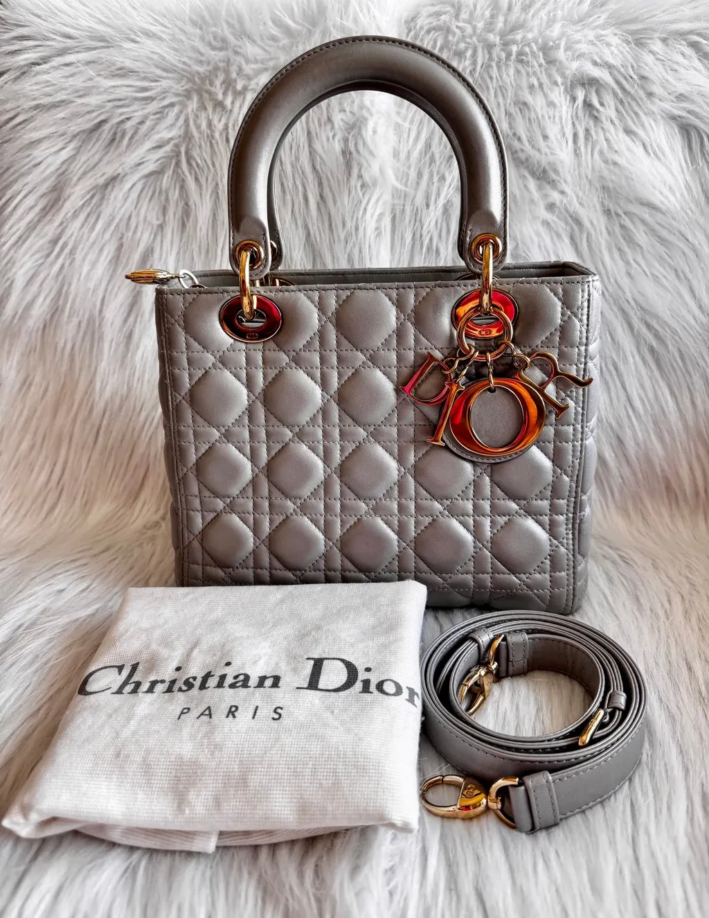 Dior Lady Dior Medium Gray Pearlescent Grey Leather Good - Inside View