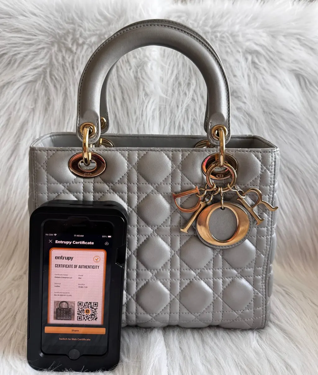 Dior Lady Dior Medium Gray Pearlescent Grey Leather Good - Model View