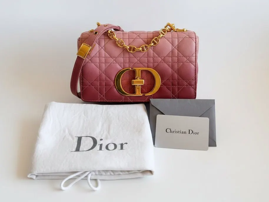 Dior Caro Small Shoulder Bag Ombre Pink Pink Leather Very good - Back View
