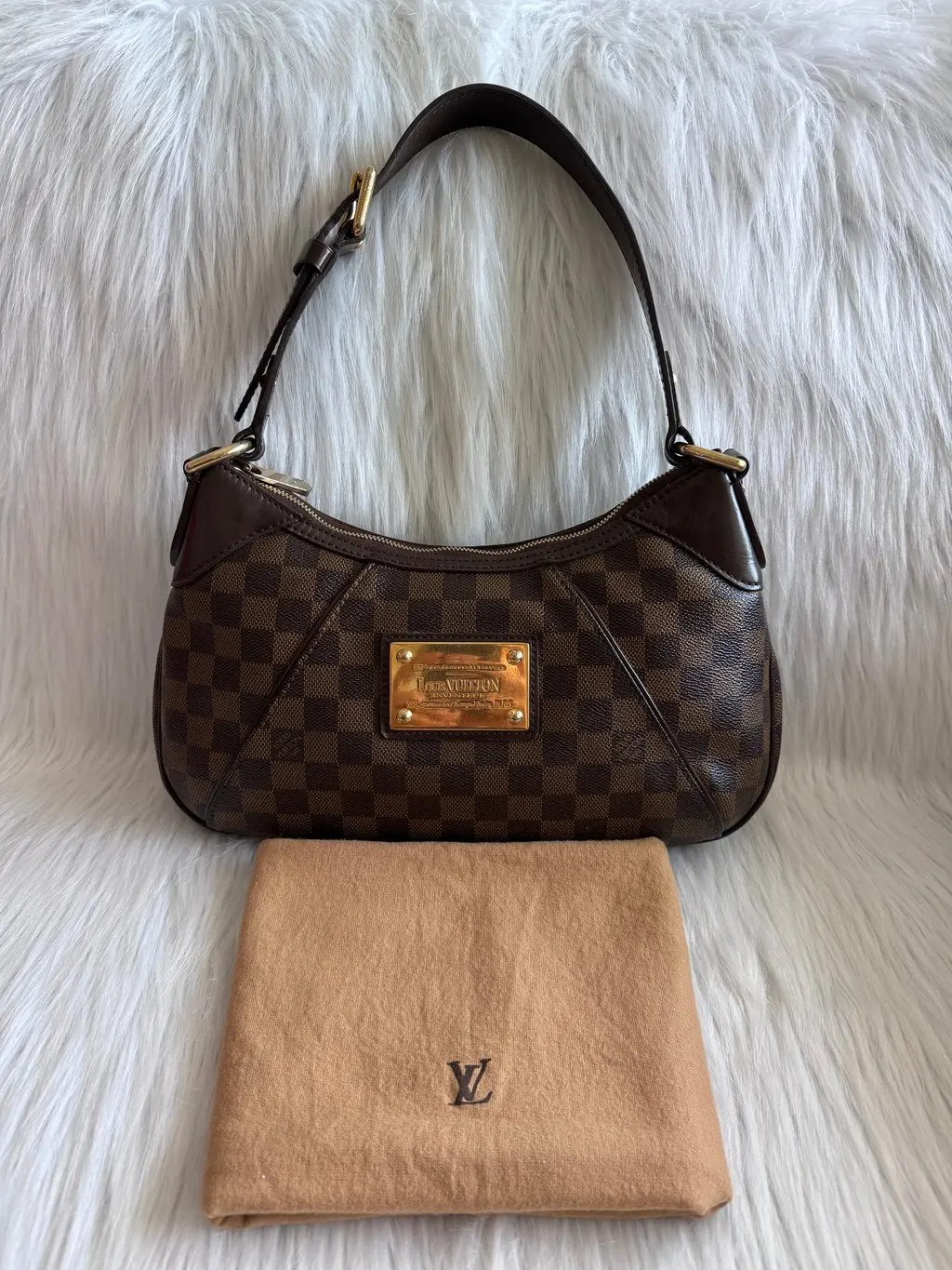 Louis Vuitton Damier Ebene Thames PM Shoulder Bag Gold Canvas Very good - Inside View