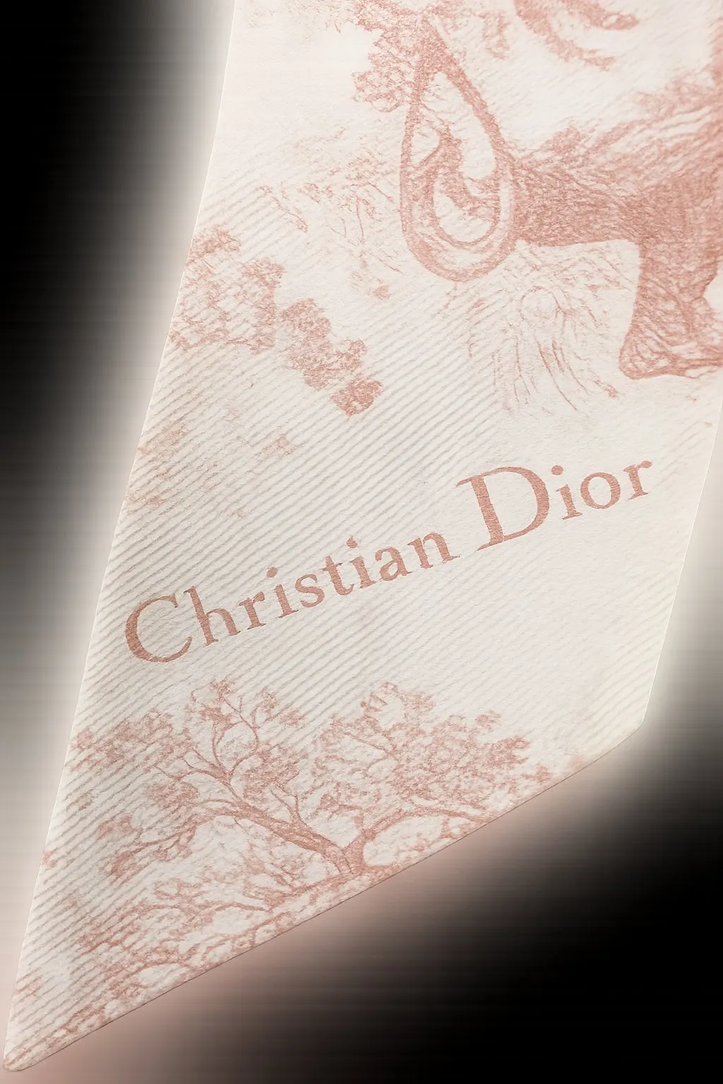 Dior Christian Dior Toile de Jouy Sauvage Mitzah Scarf (Ivory & Pink) White Silk Good - Model View