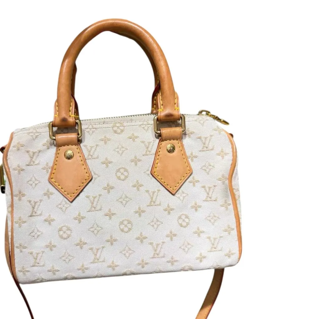 Louis Vuitton Speedy Beige Canvas Very good - Model View