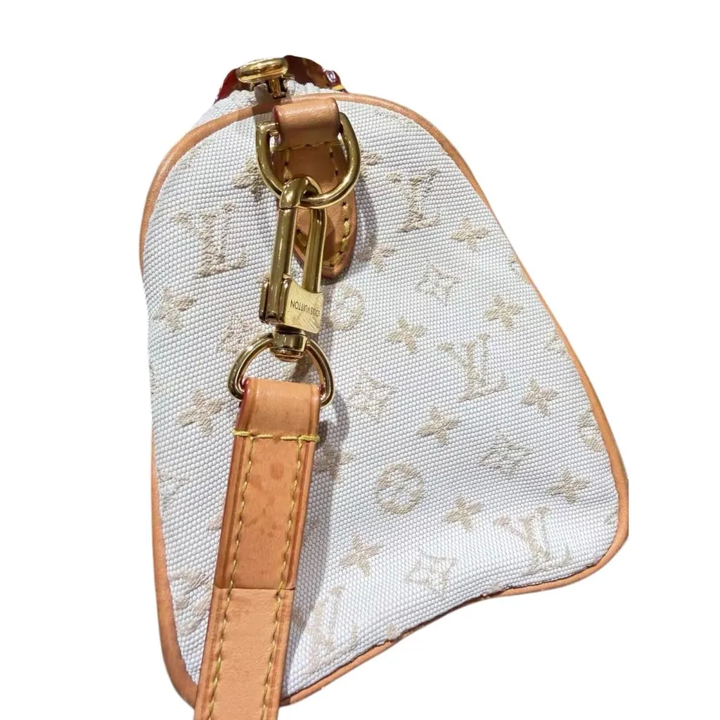 Louis Vuitton Speedy Beige Canvas Very good - Box View