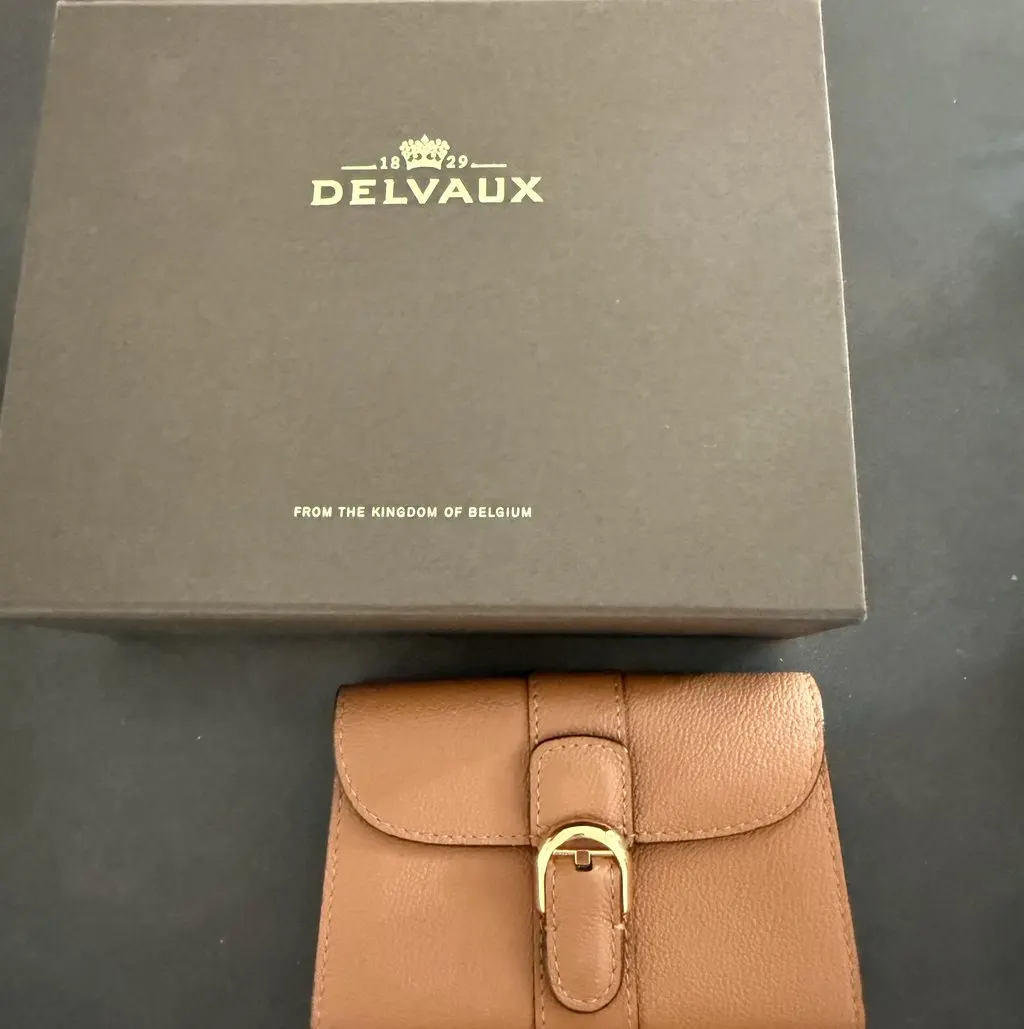 Delvaux Brilliant Cardholder Wallet Brown Leather Very good - Back View