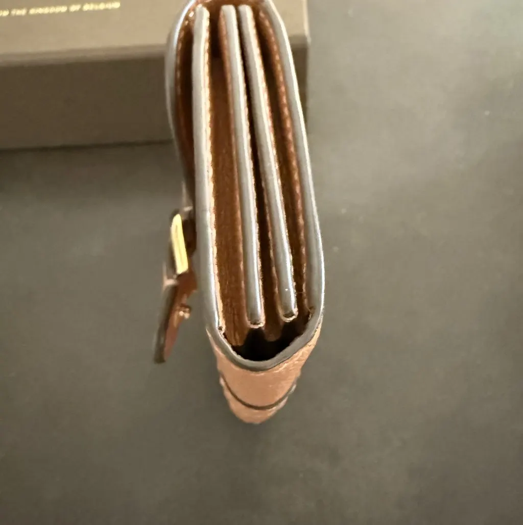 Delvaux Brilliant Cardholder Wallet Brown Leather Very good - Box View
