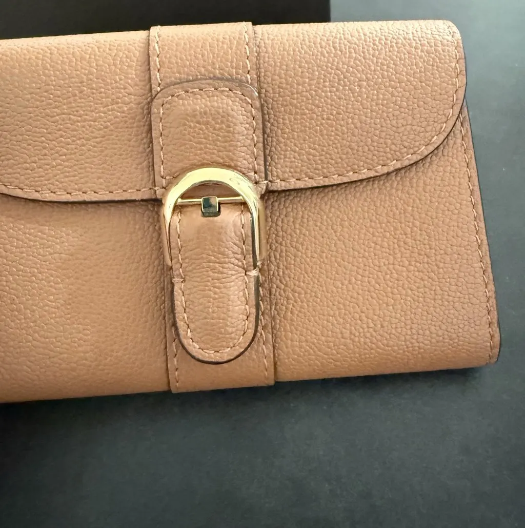 Delvaux Brilliant Cardholder Wallet Brown Leather Very good - Model View