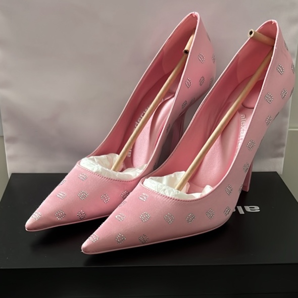 Alexander Wang Delphine 105 Pump - Image 6