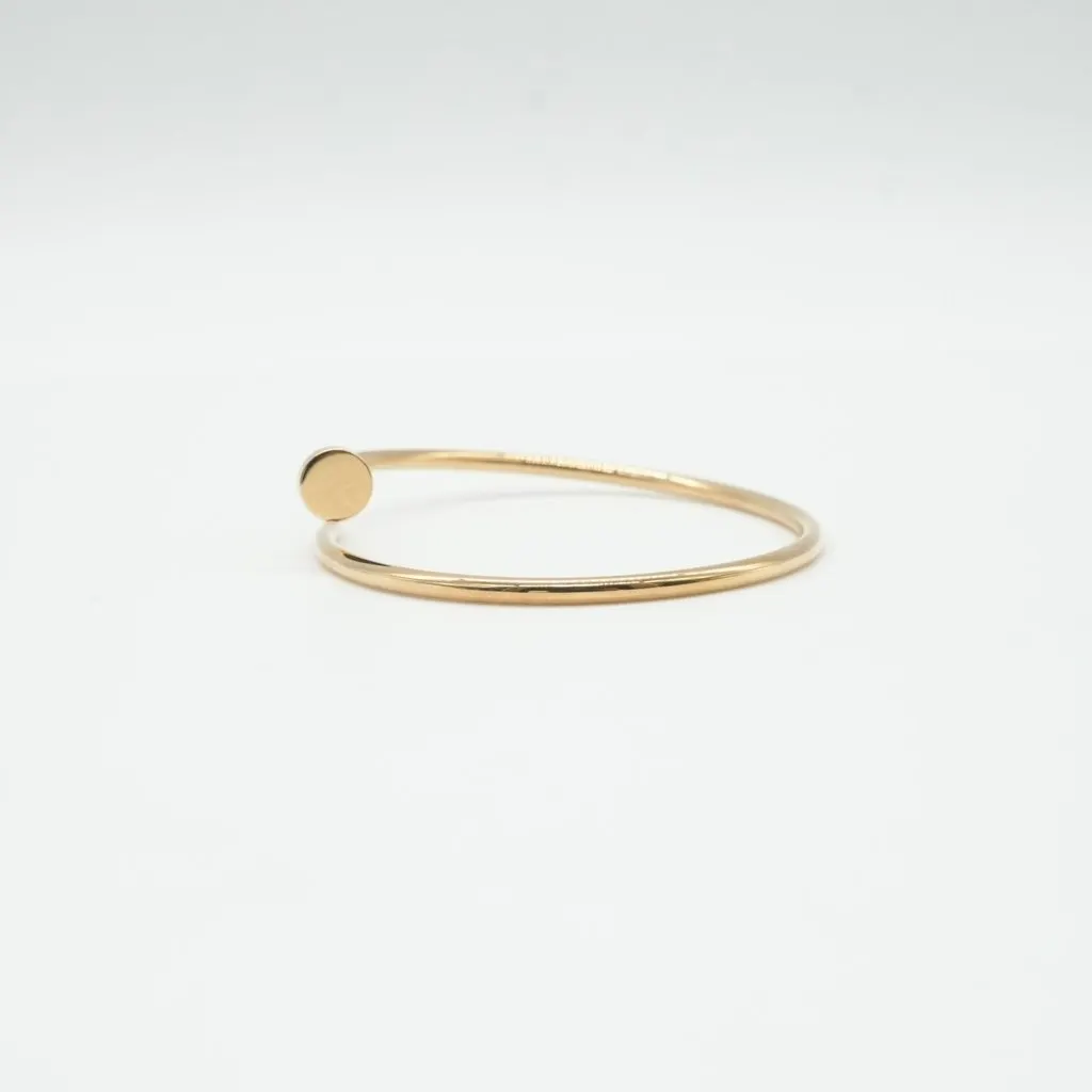 Cartier Juste Un Clou Bracelet, Small Model 18K Yellow Gold Size:17 9.3g Gold Gold Good - Model View