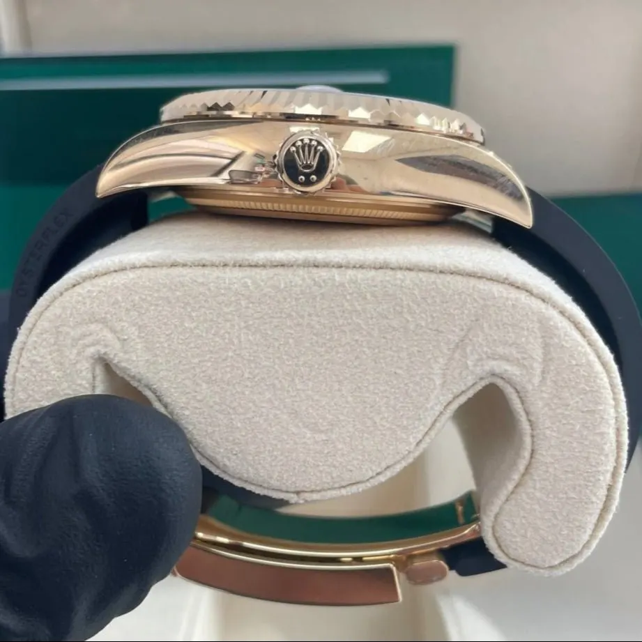 Rolex Sky-Dweller 42mm Gold Never worn - Back View