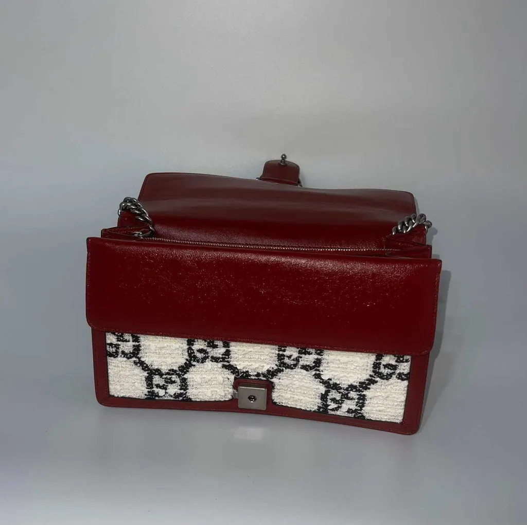 Gucci Dionysus MultiColor Tweed Leather Very good - Model View
