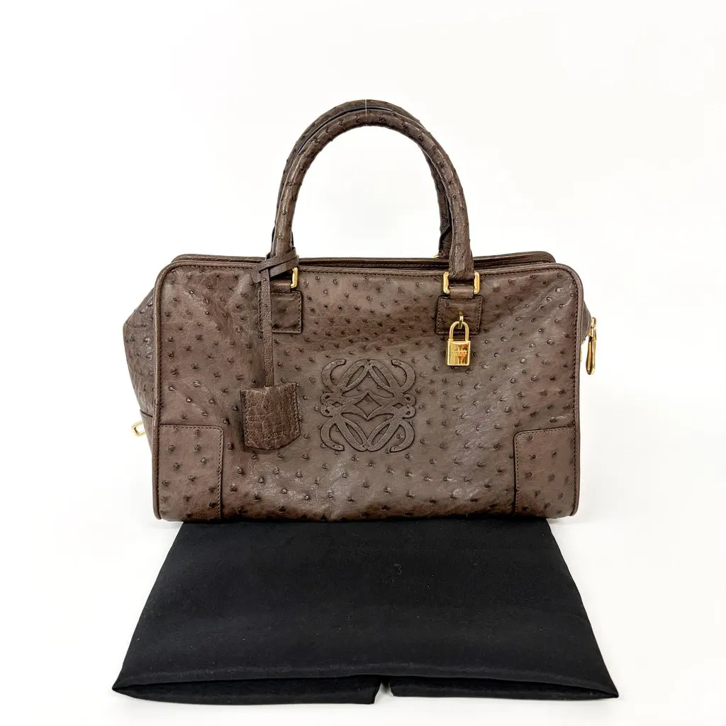 Loewe Ostrich Amazona 28 Tote Bag Dark Brown MultiColor Leather Good - Back View