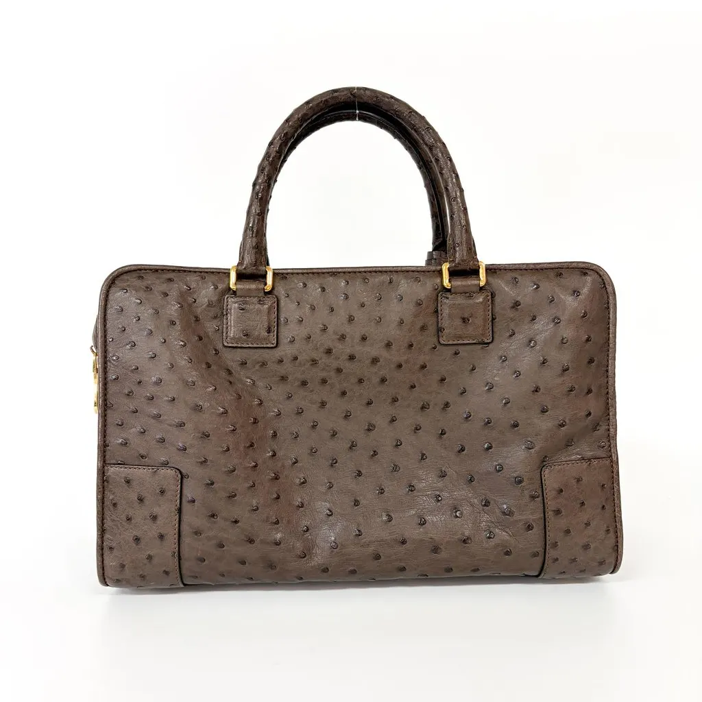Loewe Ostrich Amazona 28 Tote Bag Dark Brown MultiColor Leather Good - Inside View