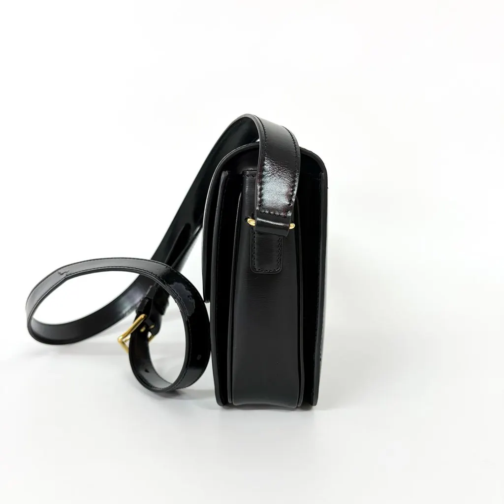 Celine Triomphe Bag Shiny Calfskin Black Gold Hardware Black Leather Good - Model View
