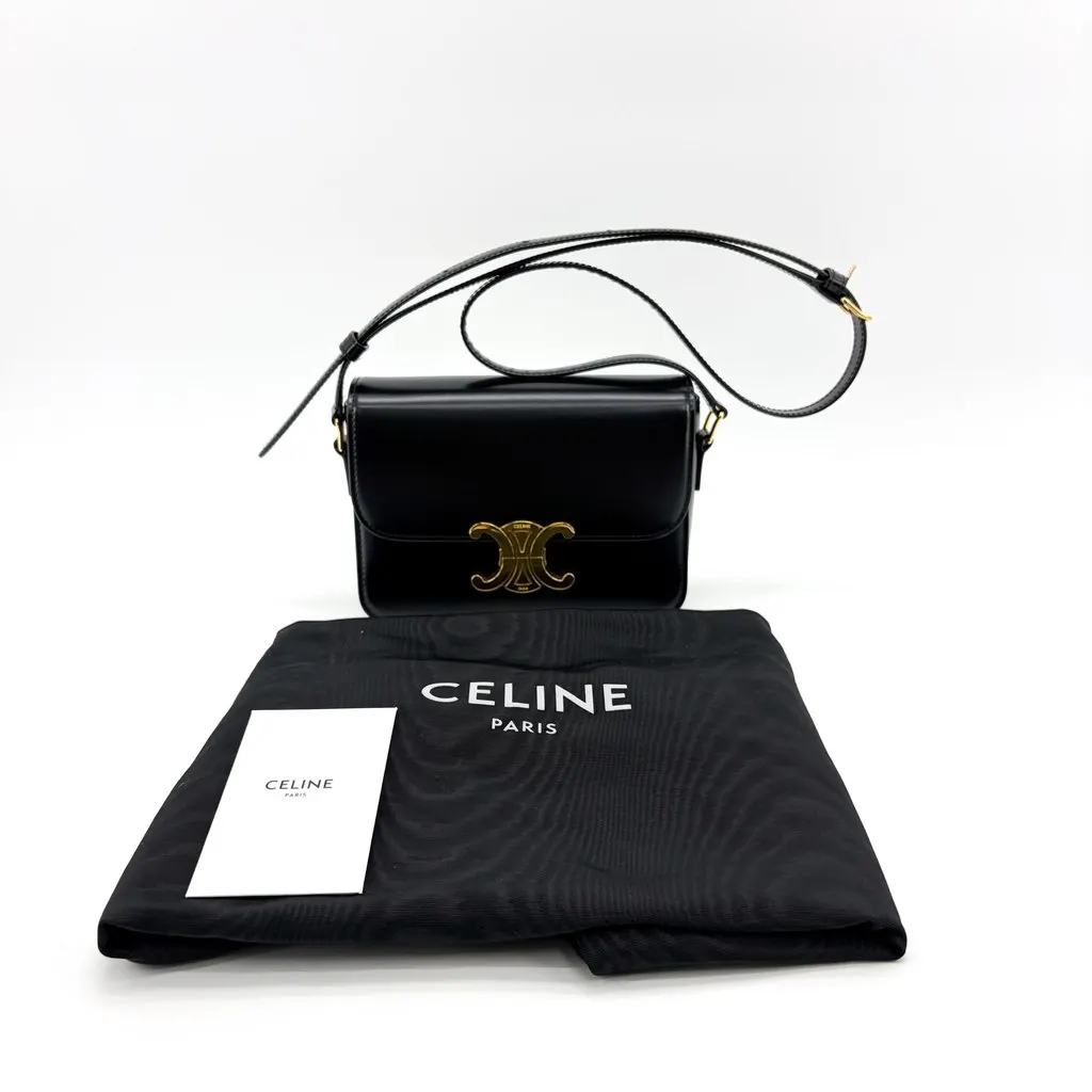 Celine Tin Trionf Bag Shiny Calfskin Black MultiColor Leather Very good - Back View