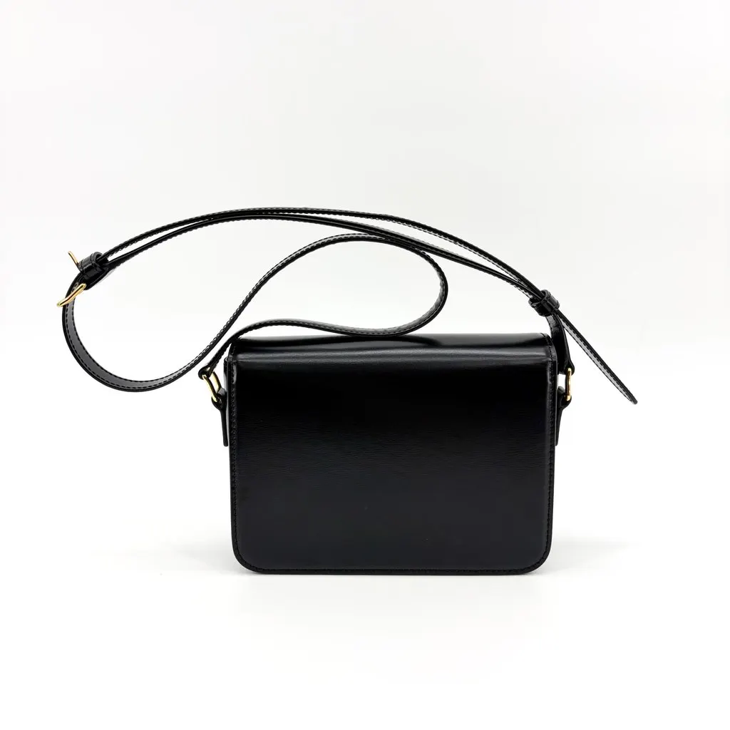 Celine Tin Trionf Bag Shiny Calfskin Black MultiColor Leather Very good - Inside View
