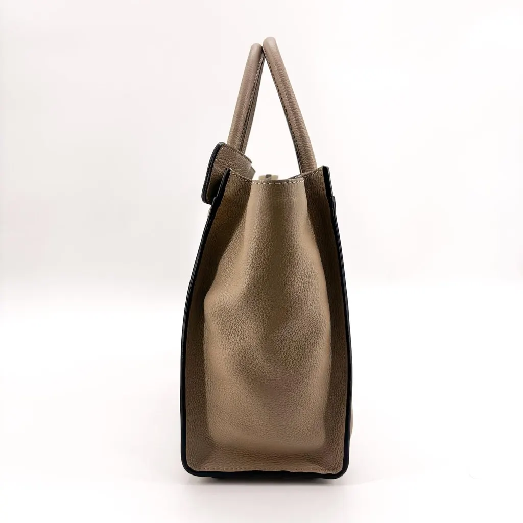 Celine Micro Luggage Bag in Drummed Calfskin Dune Beige Leather Very good - Box View