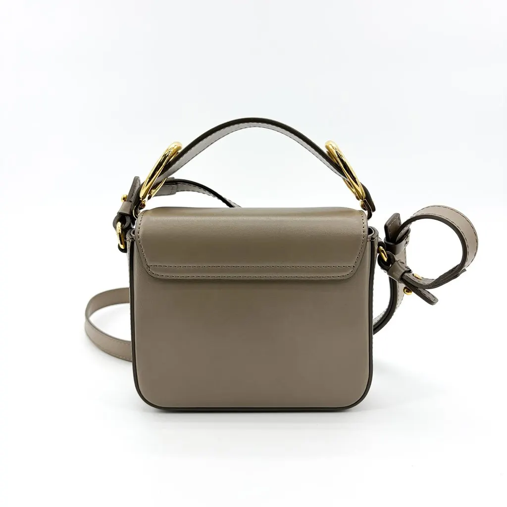 Chloé C Mini Bag Moti Grey Gold Leather Good - Back View