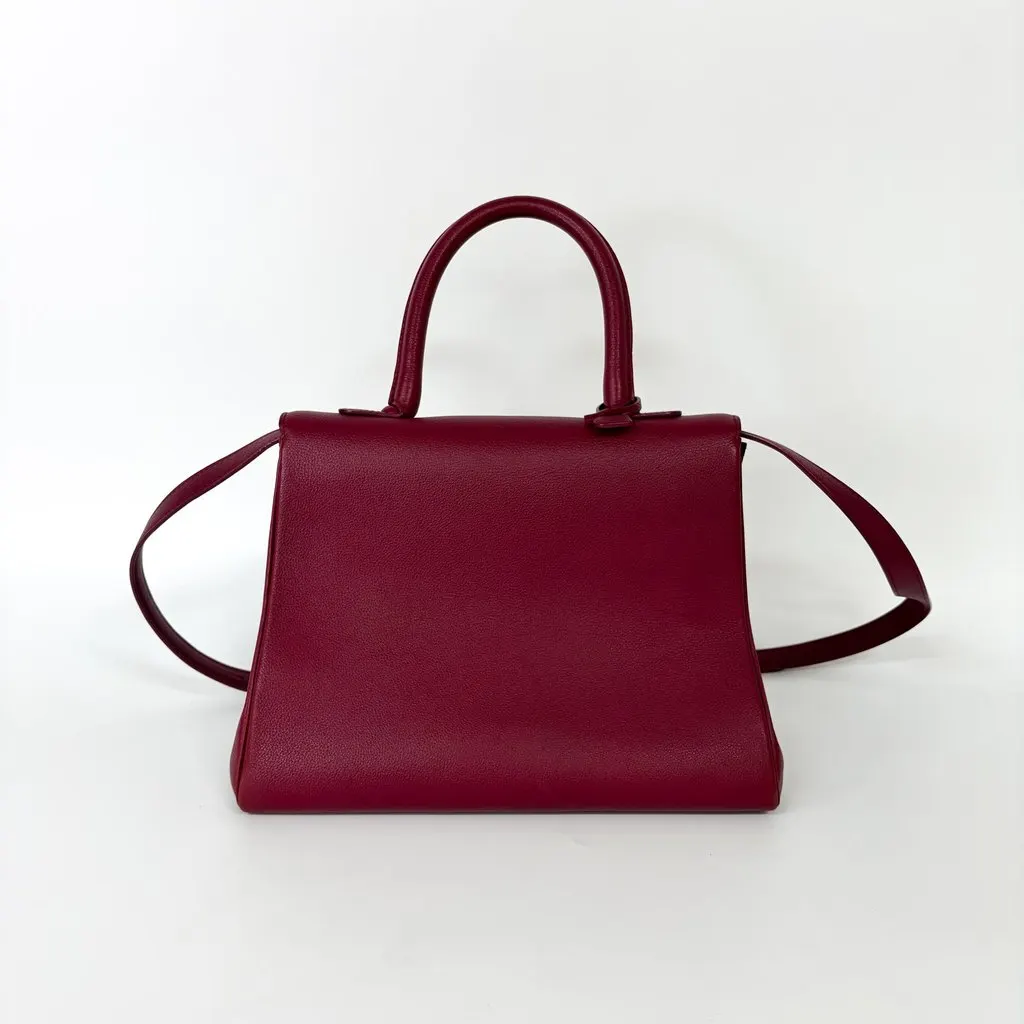 Delvaux Briand MM Rodeo Leather Bordeaux Gold Hardware Pink Leather Good - Back View