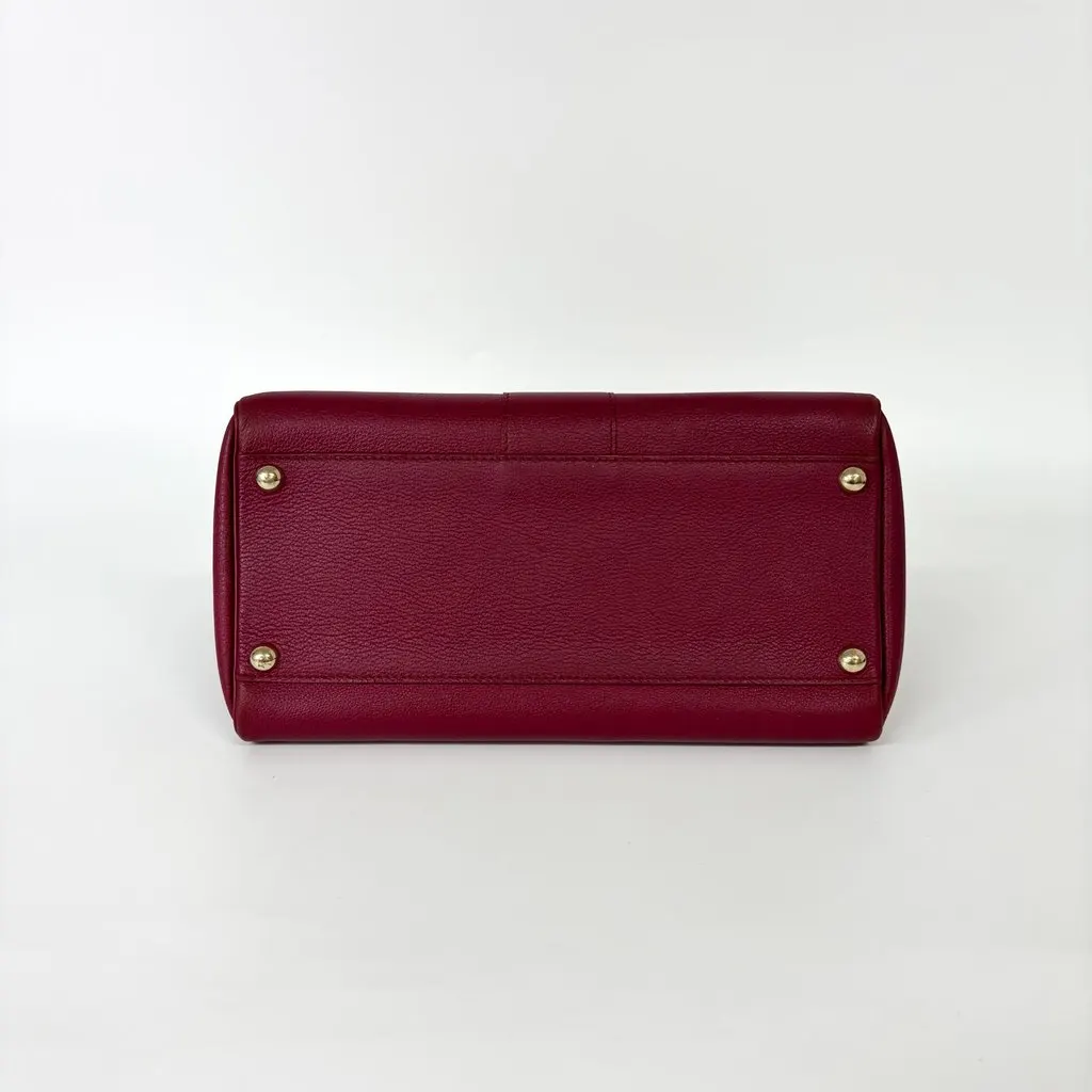 Delvaux Briand MM Rodeo Leather Bordeaux Gold Hardware Pink Leather Good - Box View