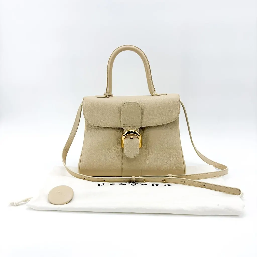 Delvaux Briand MM Rodeo Calf Beige Gold Hardware Beige Leather Good - Back View