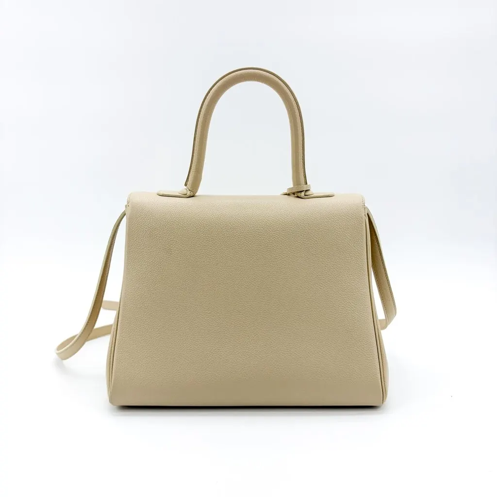 Delvaux Briand MM Rodeo Calf Beige Gold Hardware Beige Leather Good - Inside View