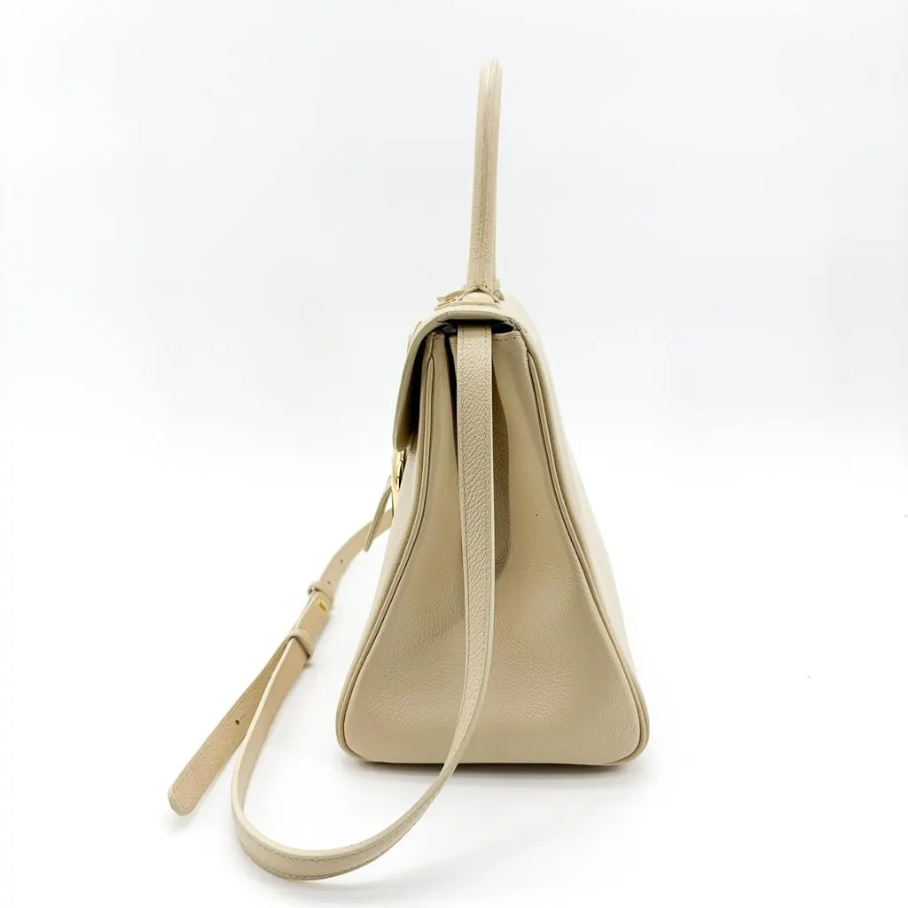 Delvaux Briand MM Rodeo Calf Beige Gold Hardware Beige Leather Good - Model View
