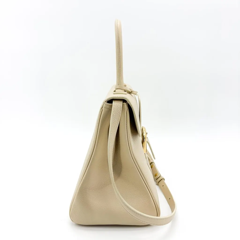 Delvaux Briand MM Rodeo Calf Beige Gold Hardware Beige Leather Good - Box View