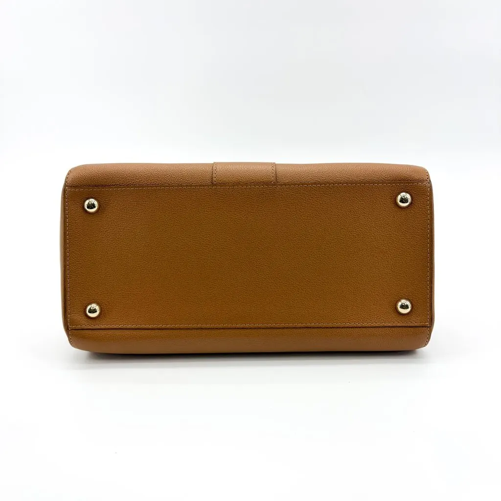 Delvaux Briand MM Rodeo Cap Vegetal Gold Brown Leather Very good - Box View