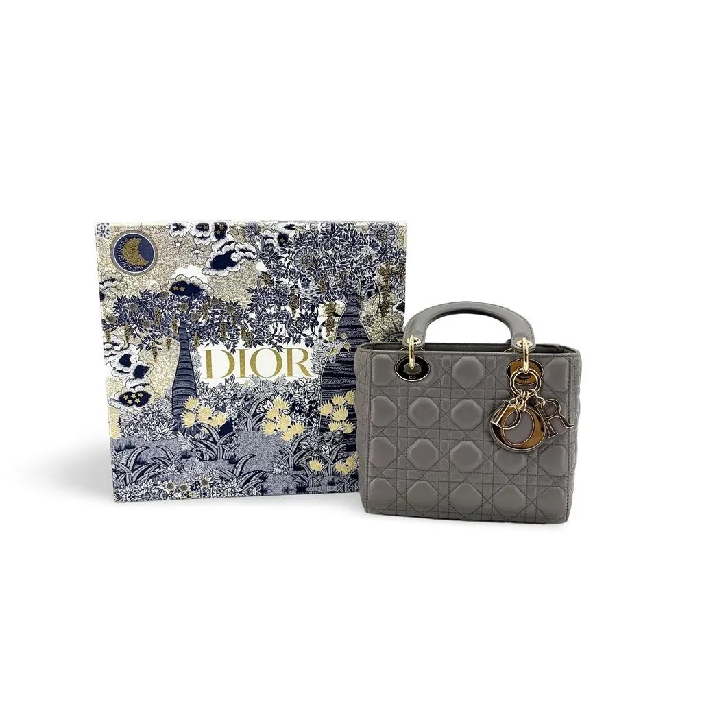 Dior Lady Dior Medium Bag Grey Lambskin Gold Hardware MultiColor Leather Good - Back View
