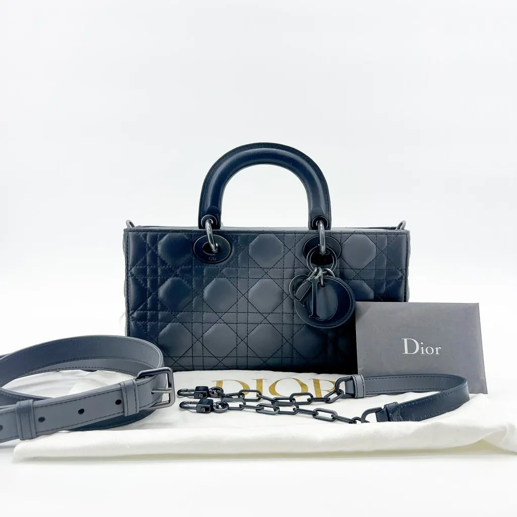 Dior Lady DeJoy Bag Medium Gradient Navy MultiColor Leather Very good - Back View