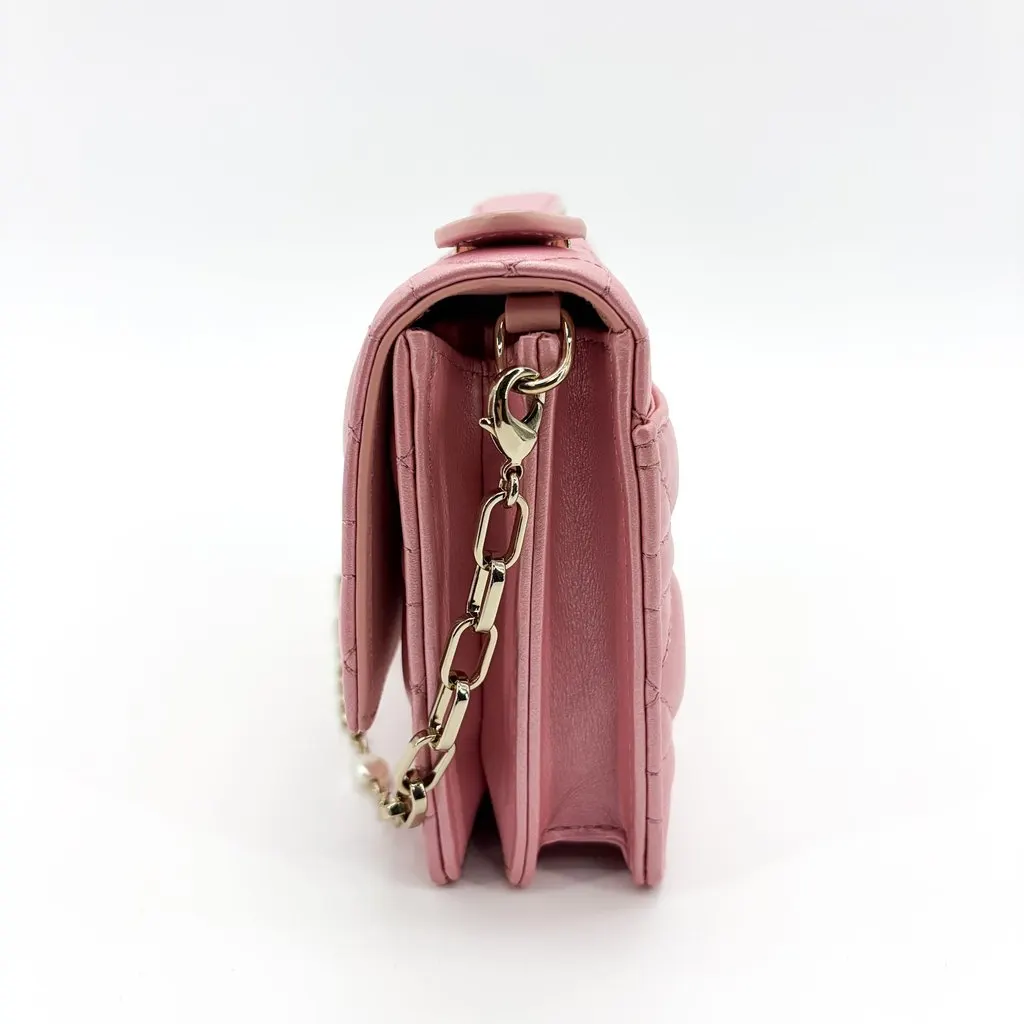 Dior Miss Dior Top Handle Pouch Pink Cannage Lambskin Pink Leather Very good - Model View
