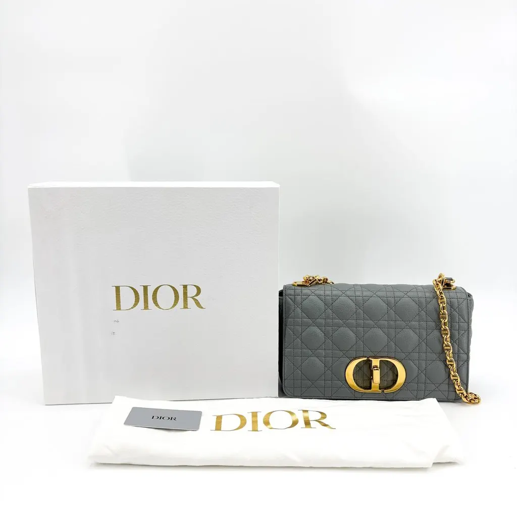Dior Caro Small Bag Gray Gold-Tone MultiColor Leather Good - Back View