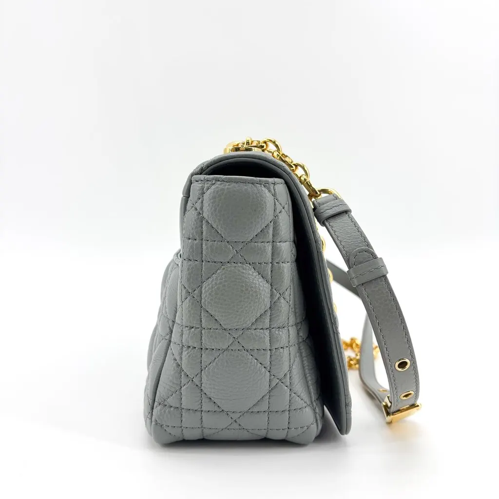 Dior Caro Small Bag Gray Gold-Tone MultiColor Leather Good - Box View