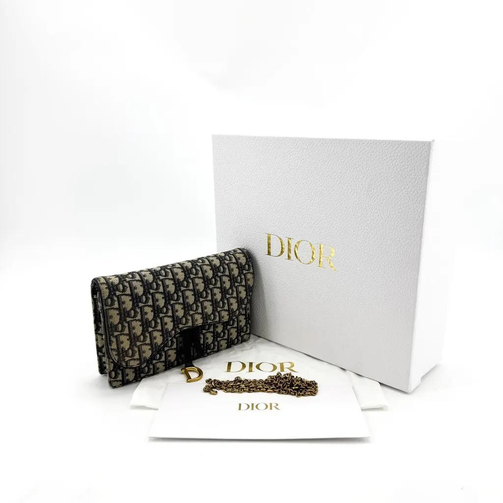 Dior Saddle Slim Pouch Blue Oblique Jacquard Beige Jacquard Good - Back View