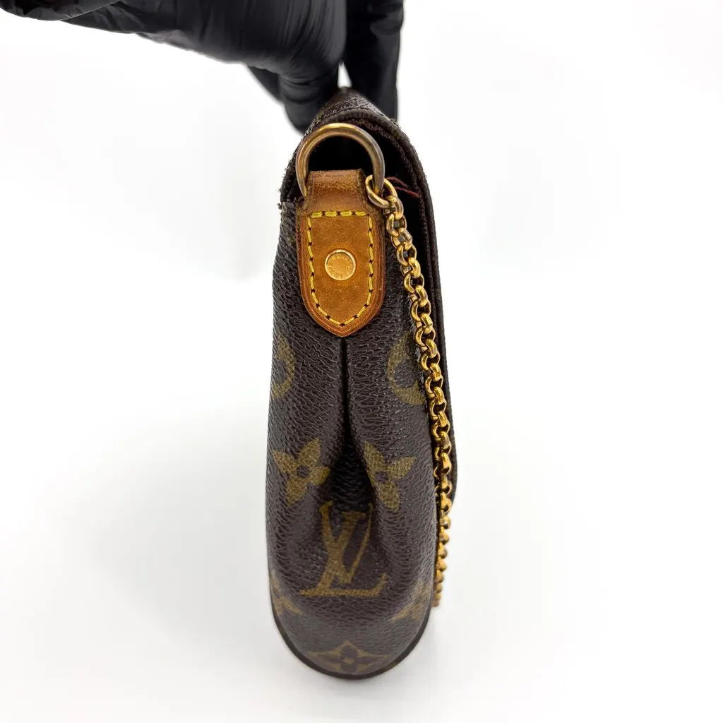 Louis Vuitton Monogram Favorite PM Brown Canvas Good - Model View