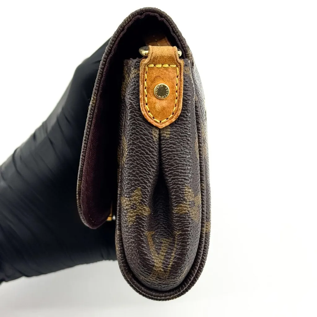 Louis Vuitton Monogram Favorite PM Brown Canvas Good - Model View