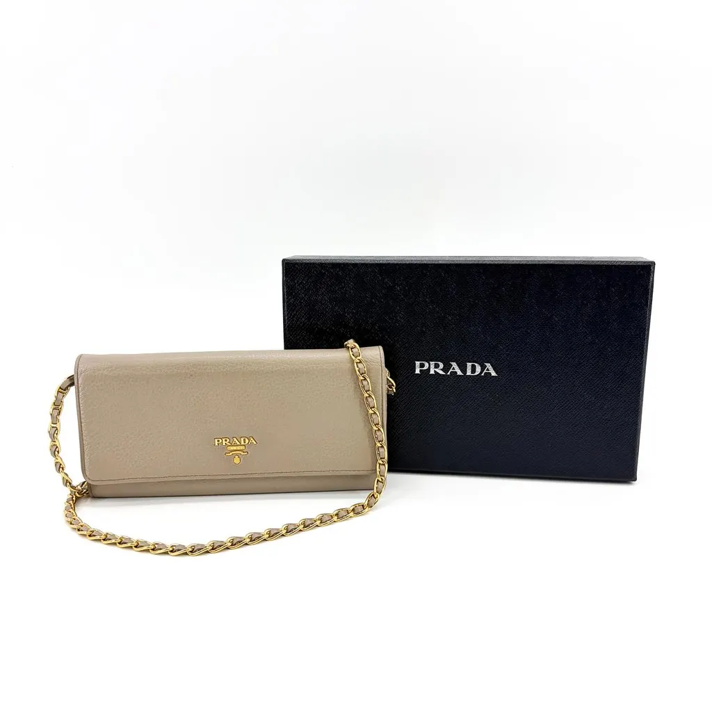 Prada Vitello Phoenix Chain Wallet Argila Gray MultiColor Leather Good - Back View