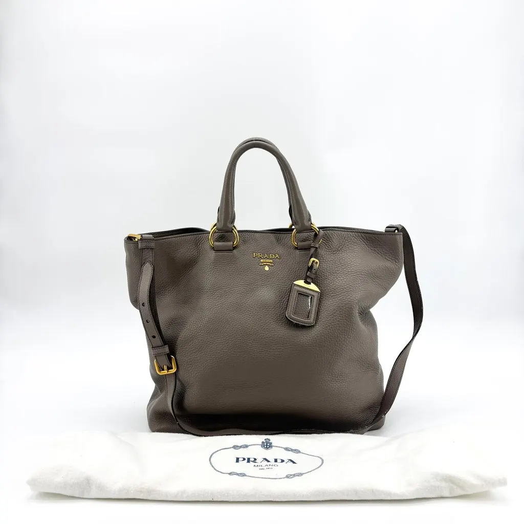 Prada Vitello Phenix 2Way Tote Bag Argilla MultiColor Leather Good - Back View