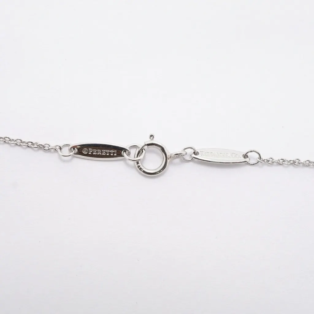 Tiffany & Co . By the Yard Necklace, 1PD (Pt950) Platinum Diamond, Ladies' Necklace MultiColor Platinum Good - Model View