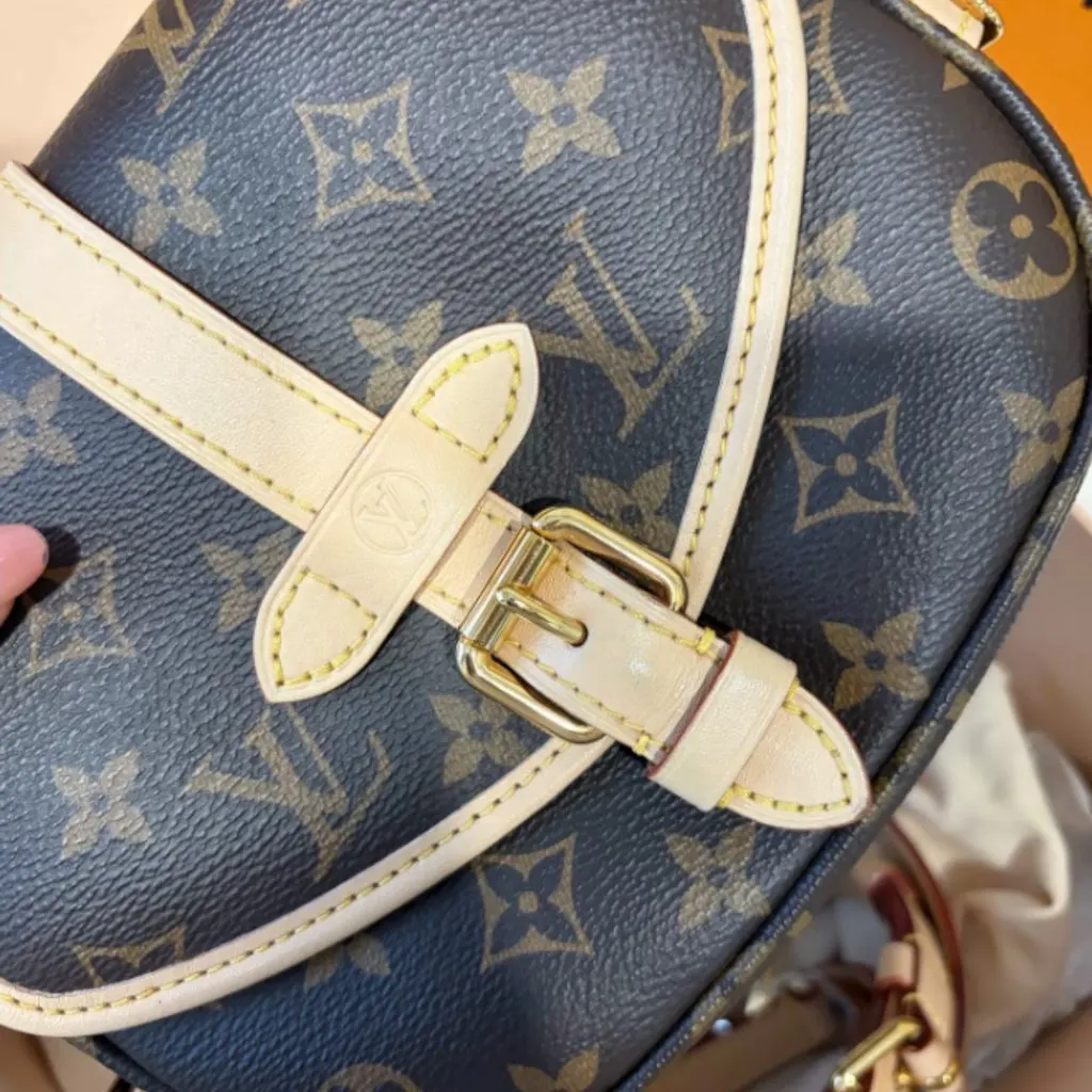 Louis Vuitton Saumur Brown Leather Very good - Model View