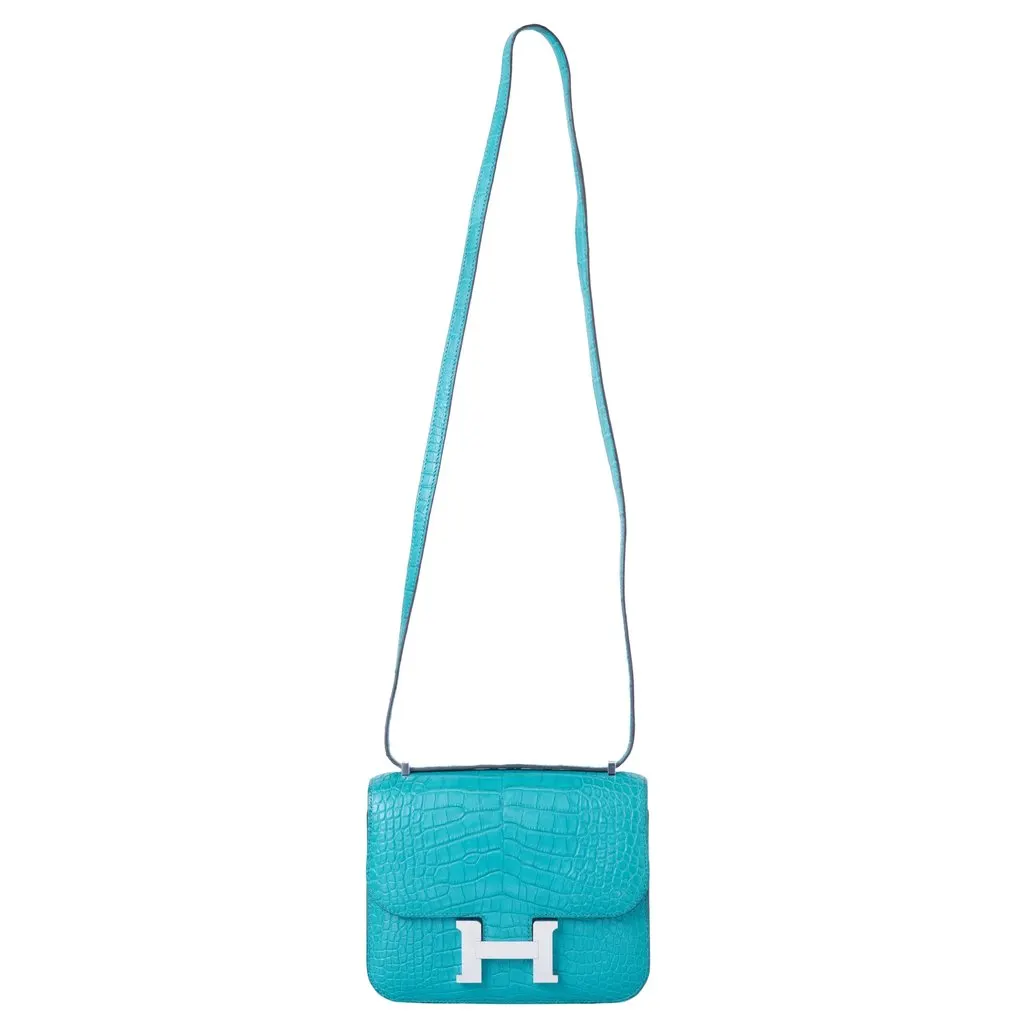 Hermès Constance 18 Turquoise (T9) Matte Alligator – Palladium Hardware - '00s MultiColor Leather Good - Back View